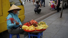 Hanoi Fruit Seller