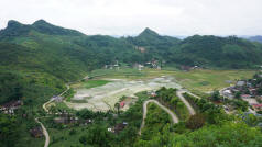 Lung Cu View Rice Fields