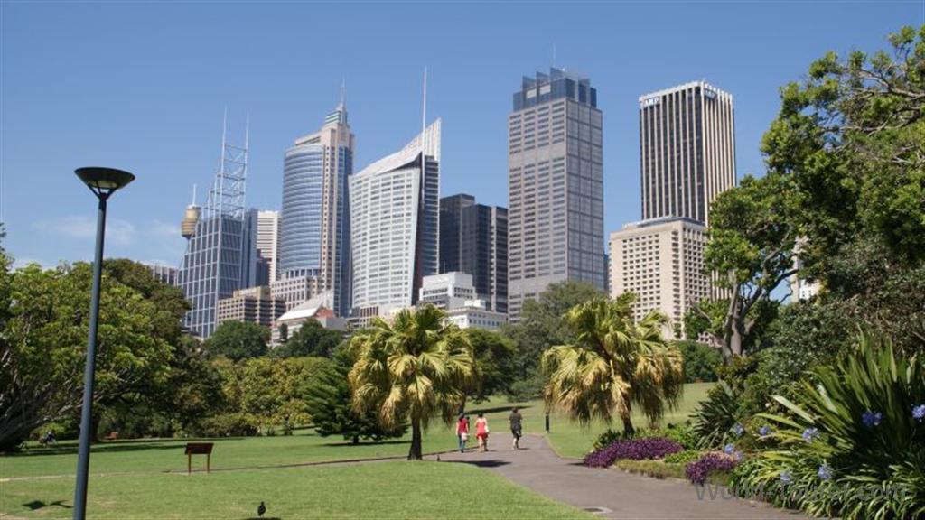 Sydney Skyline