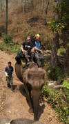 gary chris elephant ride